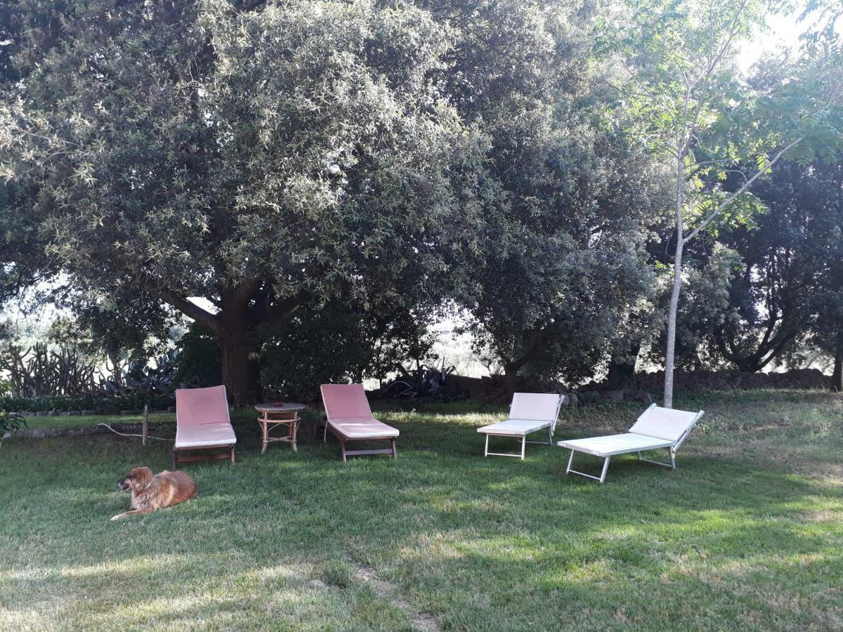 Tenuta Argiano Мезаньє Екстер'єр фото